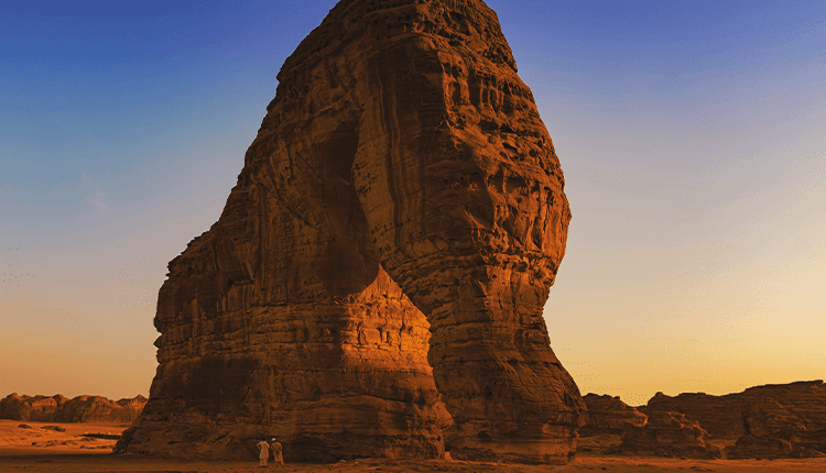 alula