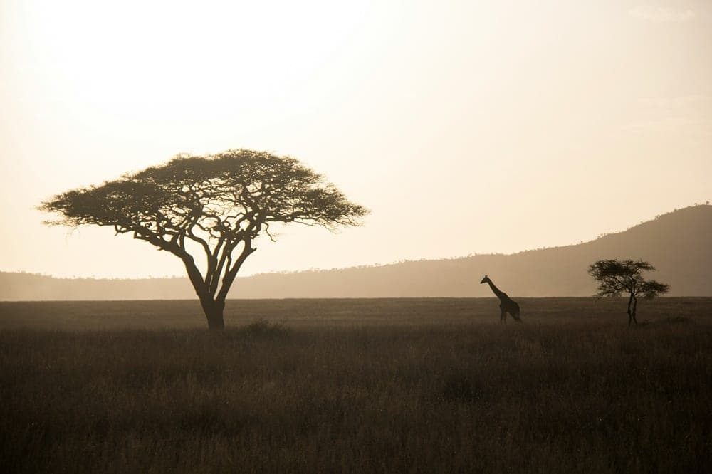 Tanzanie formalités