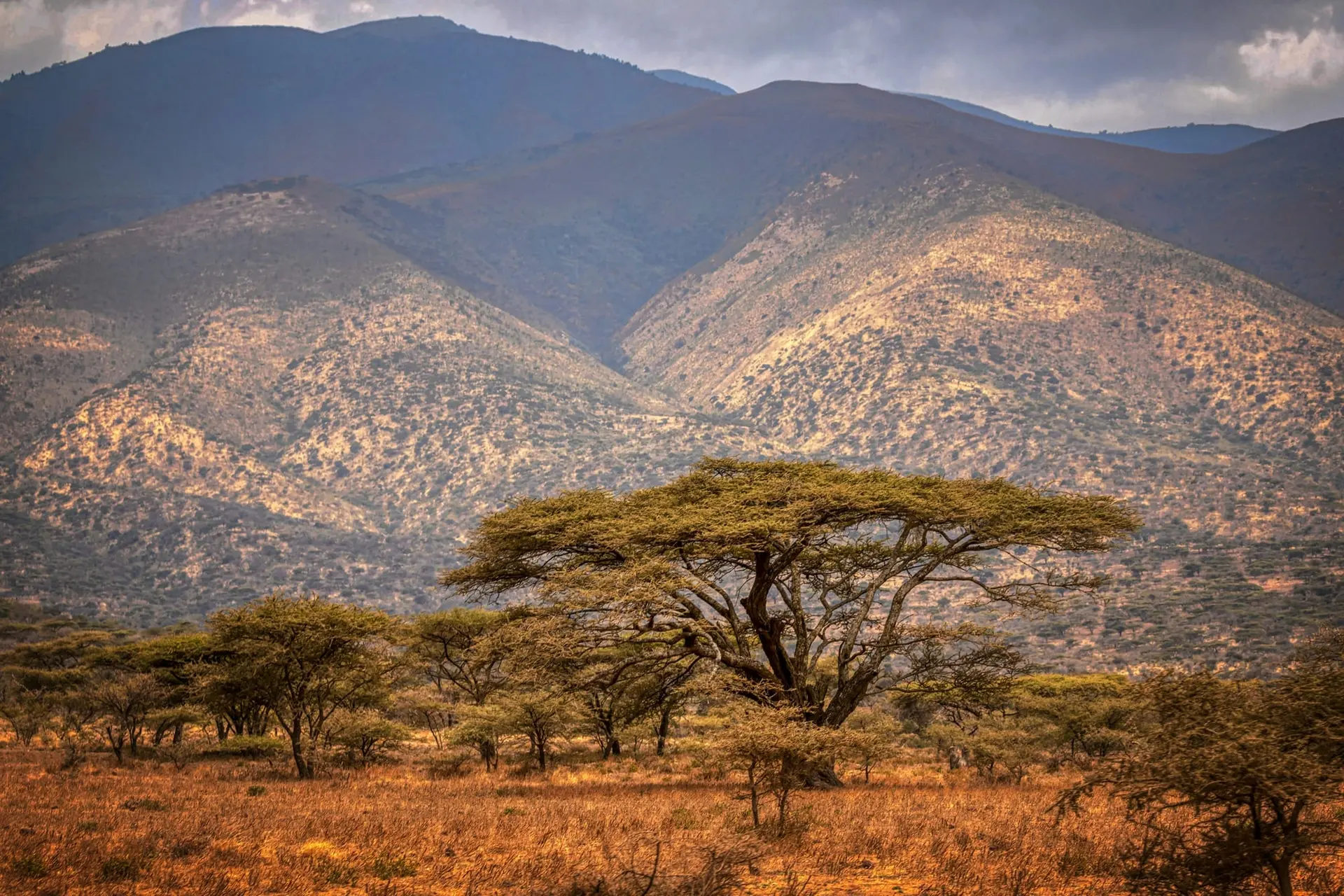 Tanzanie