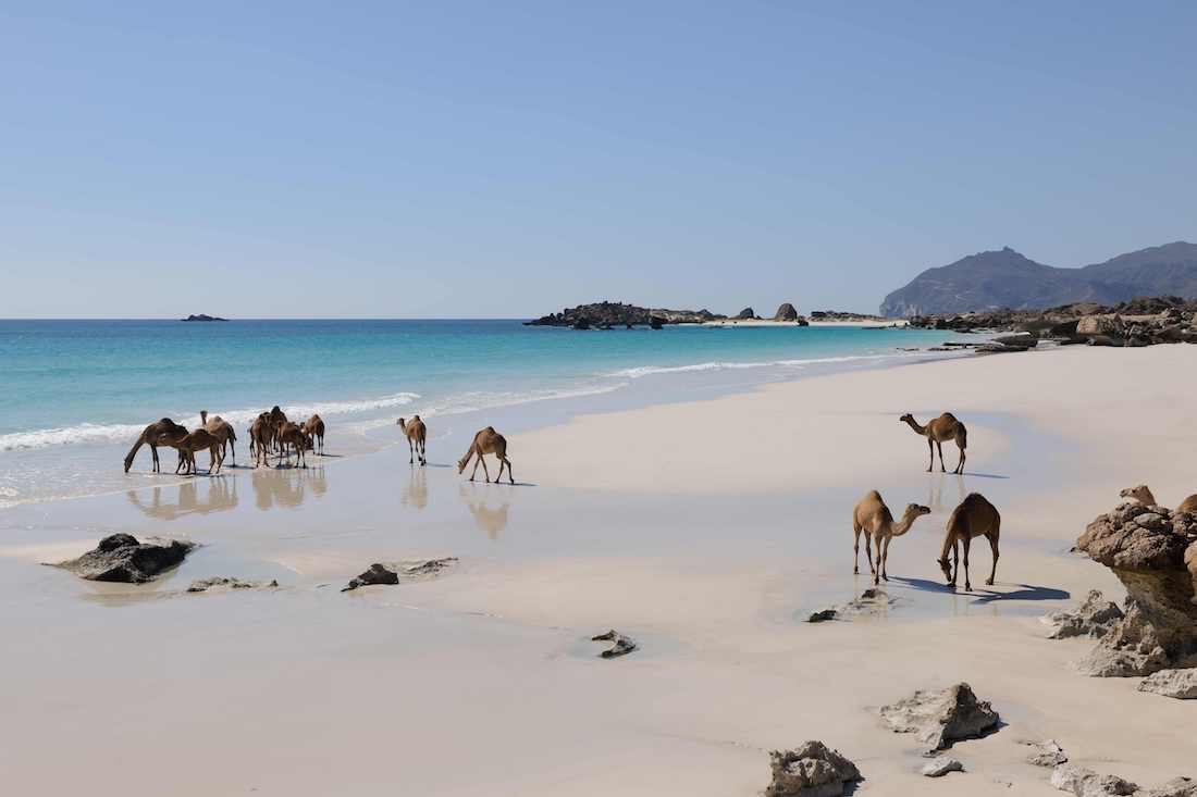 oman tourisme