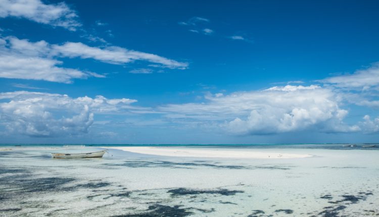 Production : Fram mise lui aussi Zanzibar et ouvre un Framissima