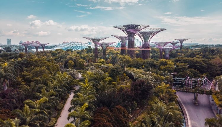 Photo d'un jardin tropical à Singapour