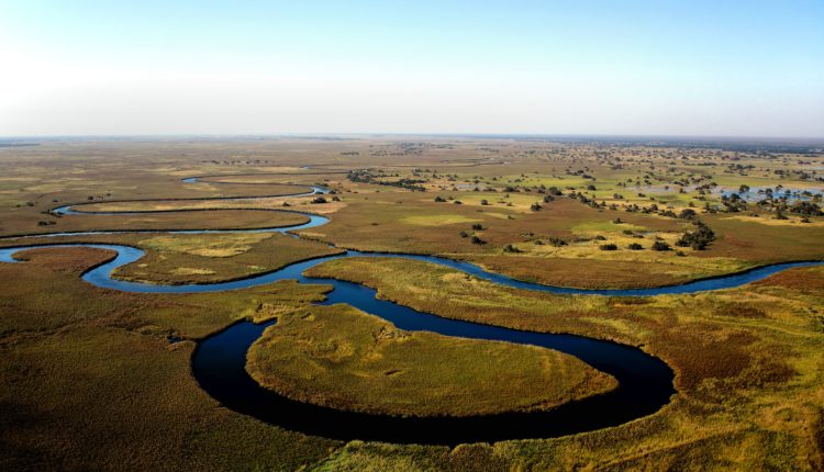 Safari : le Botswana relance la chasse aux animaux sauvages