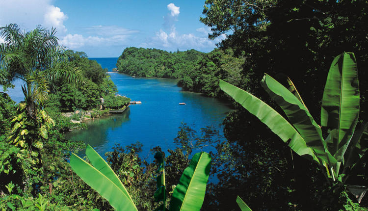 La Jamaïque veut miser sur l’écotourisme