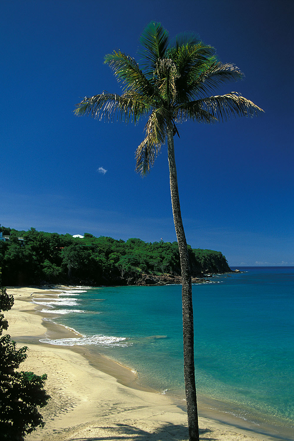 plage de Guadeloupe