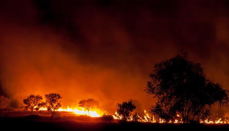 Incendies en Australie : les conseils du Quai d’Orsay aux voyageurs