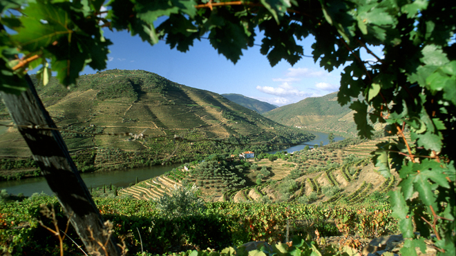 Paysage Portugal