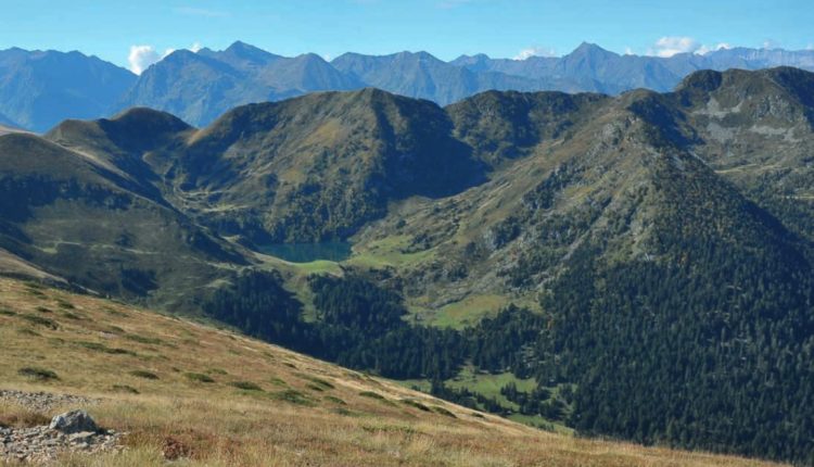 Les Pyrénées françaises héritent d'une nouvelle réserve naturelle