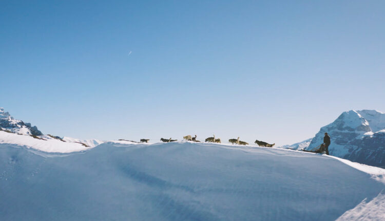 Savoie Mont Blanc