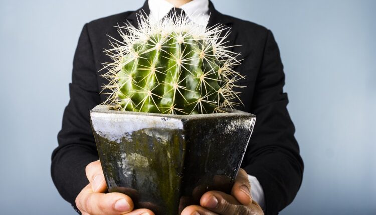 ÉDITO. Quand 60 millions de consommateurs décerne un cactus d’or à Go Voyages-Opodo