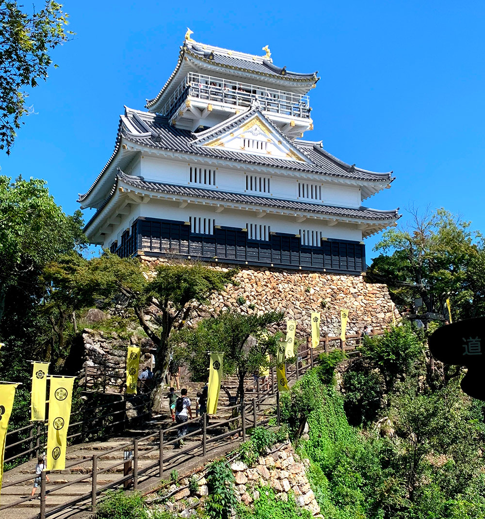 Chateau de Gifu