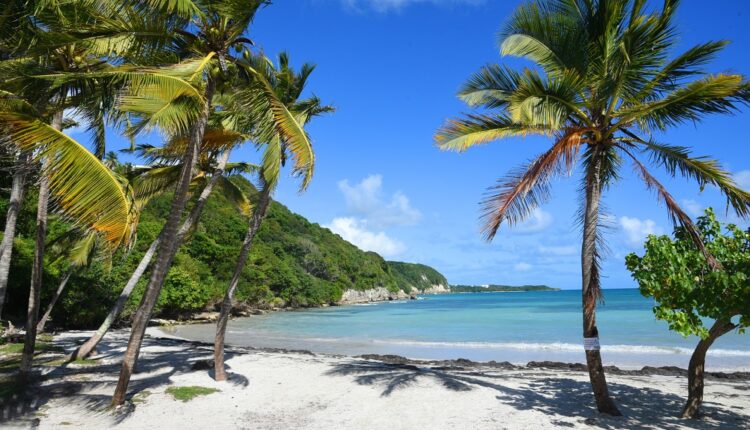 Guadeloupe : septaine obligatoire pour (presque) tous les voyageurs