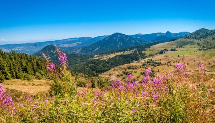 Agenda : un webinaire Auvergne-Rhône-Alpes par France DMC Alliance