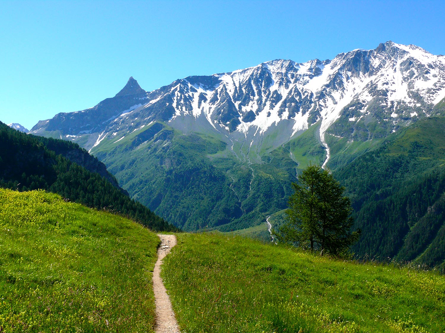 Chemin de randonnée