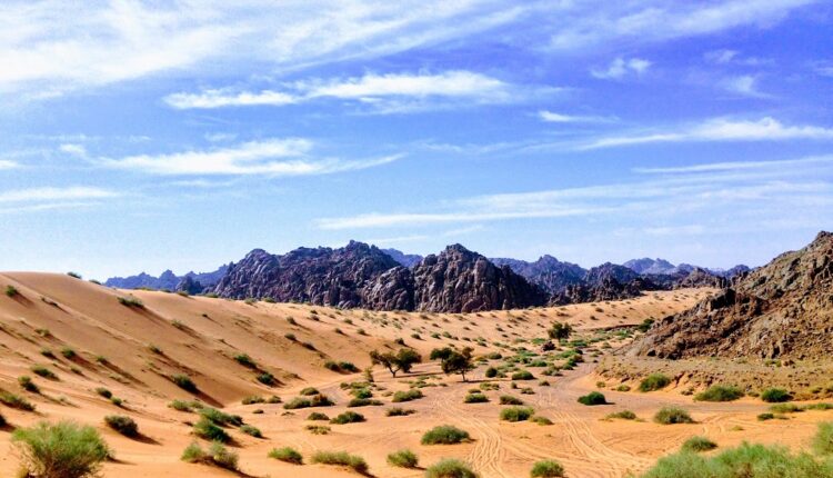 L'Arabie saoudite veut créer une deuxième compagnie aérienne nationale