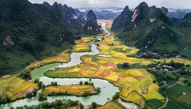 Vietnam : absents depuis 20 mois, les premiers touristes font leur retour