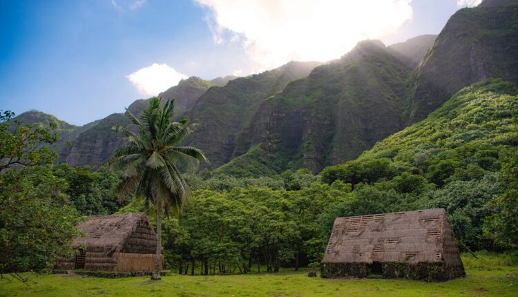 Air Moana : la nouvelles compagnie qui desservira les îles de Polynésie