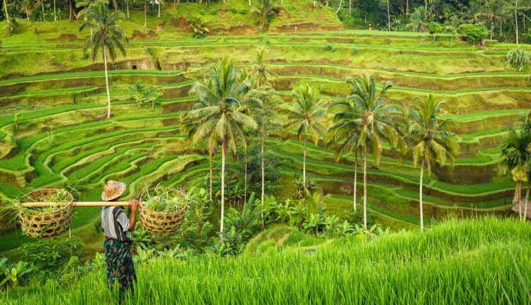 Voyage en Indonésie/Bali : quelles sont les formalités d’entrée ?