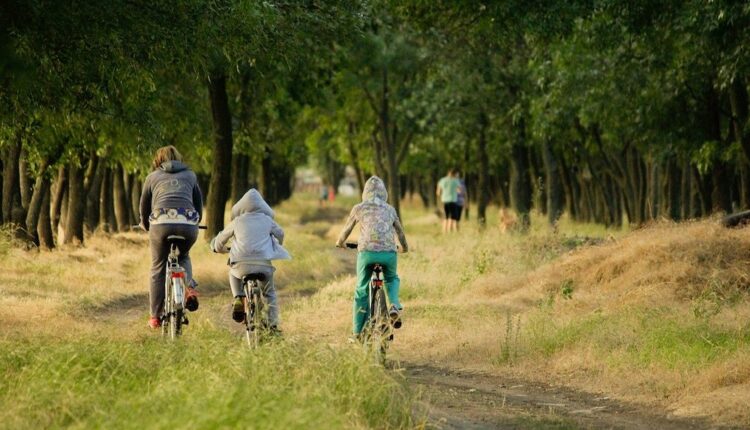 Gîtes de France : un volume d’affaires en hausse de 20% en 2021