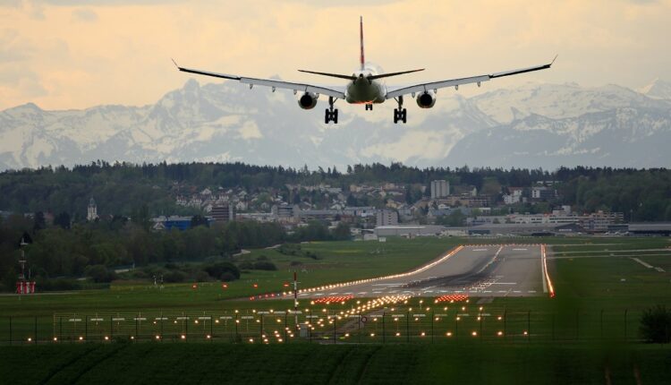 "Les aéroports sont de véritables refuges pour la biodiversité"