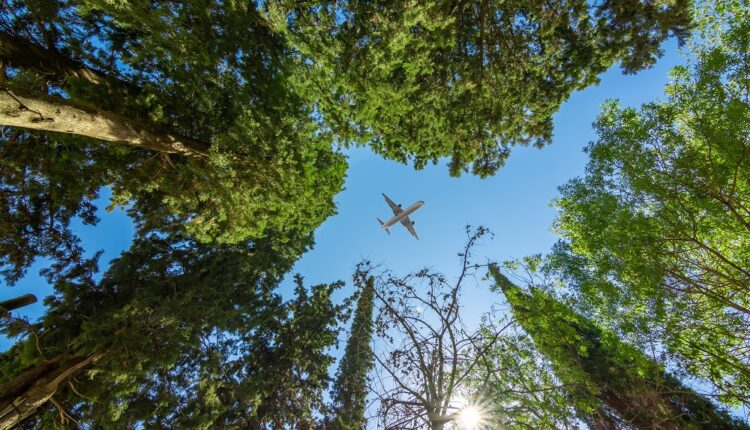 Les voyagistes créent un fonds pour lutter contre le réchauffement climatique