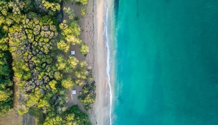 Guadeloupe, Martinique, Réunion… : nouvel allègement des formalités sanitaires