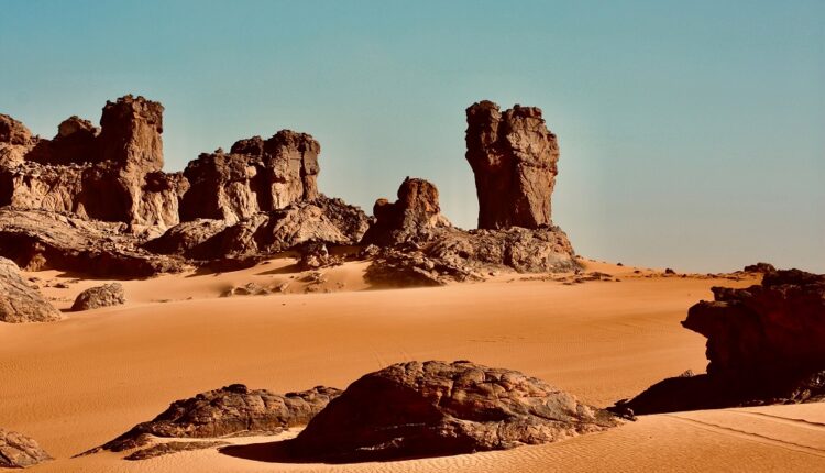 Les vols vers Algérie reviennent fort, ceux vers Madagascar aussi