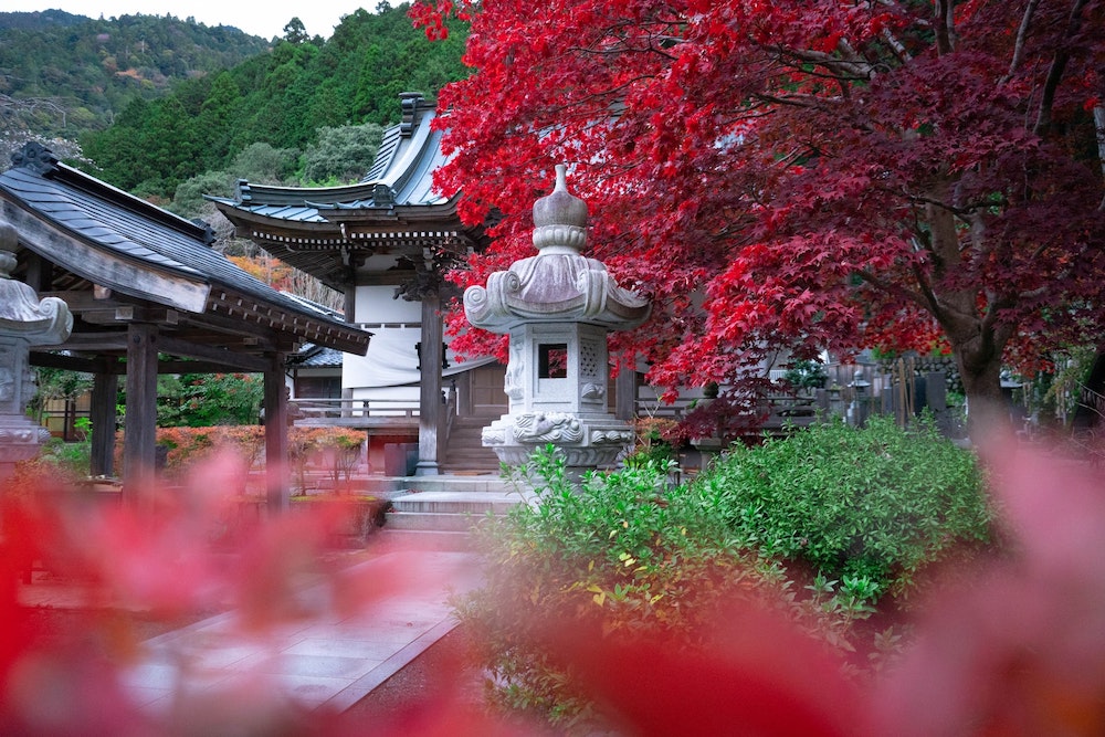 Japonia przyjmuje turystów indywidualnych bez wizy od 11 października