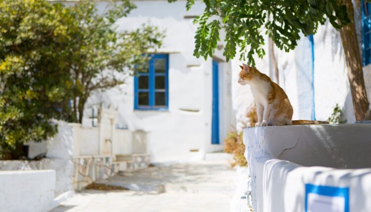 Grèce : les recettes touristiques atteignent des niveaux record