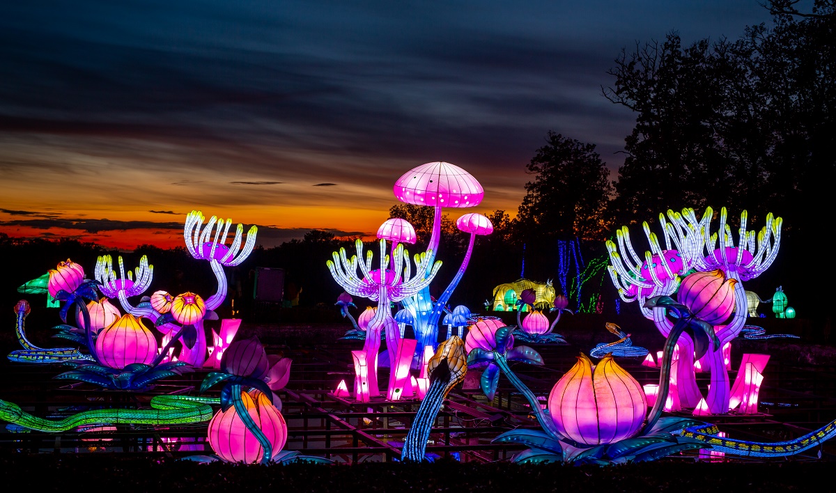 Thoiry les Lumières Sauvages reviennent pour une 5e édition