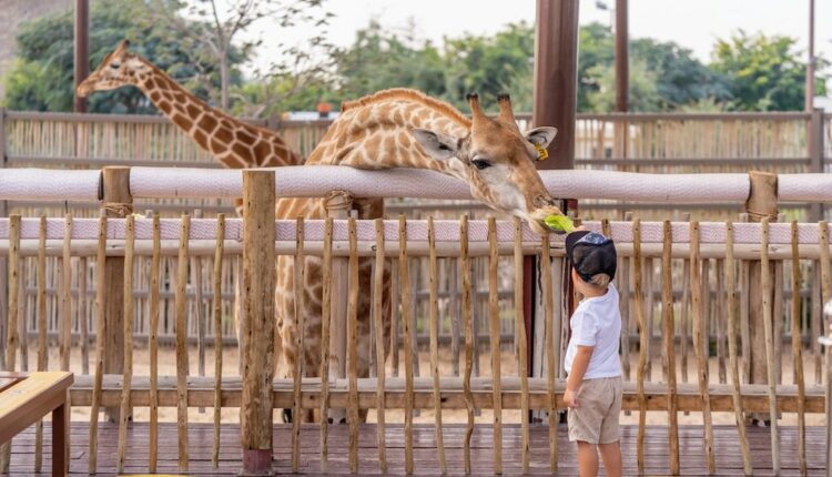 Vacances, loisirs : comment l’inflation impacte les choix des familles