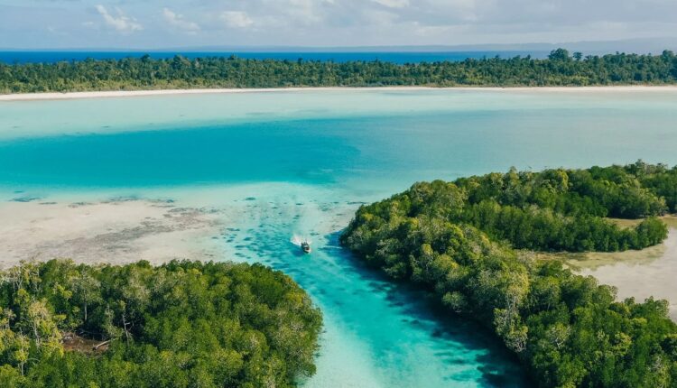 Indonésie : 100 îles de rêve en vente aux enchères