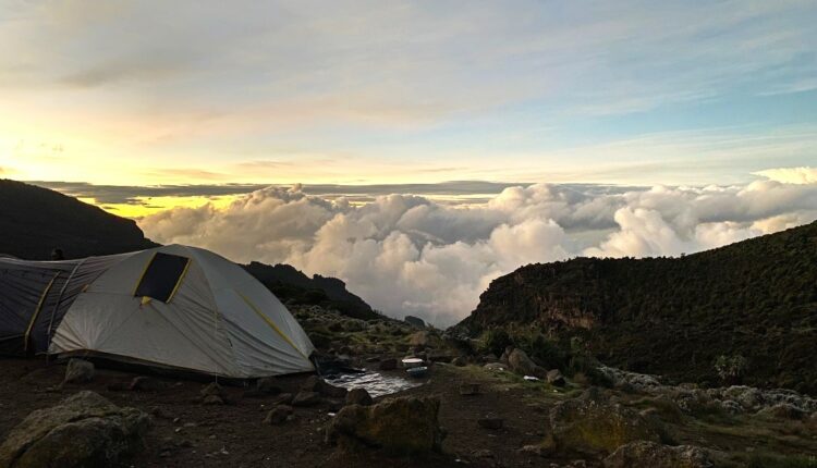 Ascension du Kilimandjaro : Adriana Minchella met au défi 50 pros du voyage