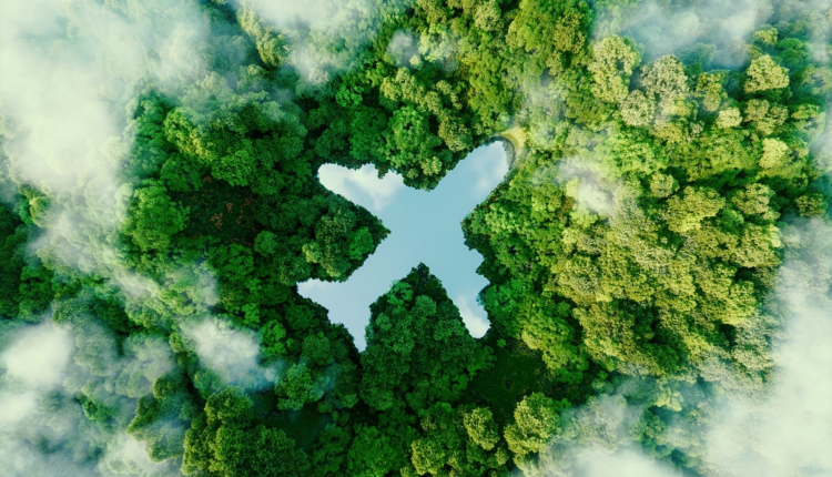 L'objectif de 5% de carburants d'aviation durable en 2030 "extrêmement ambitieux" (Iata)