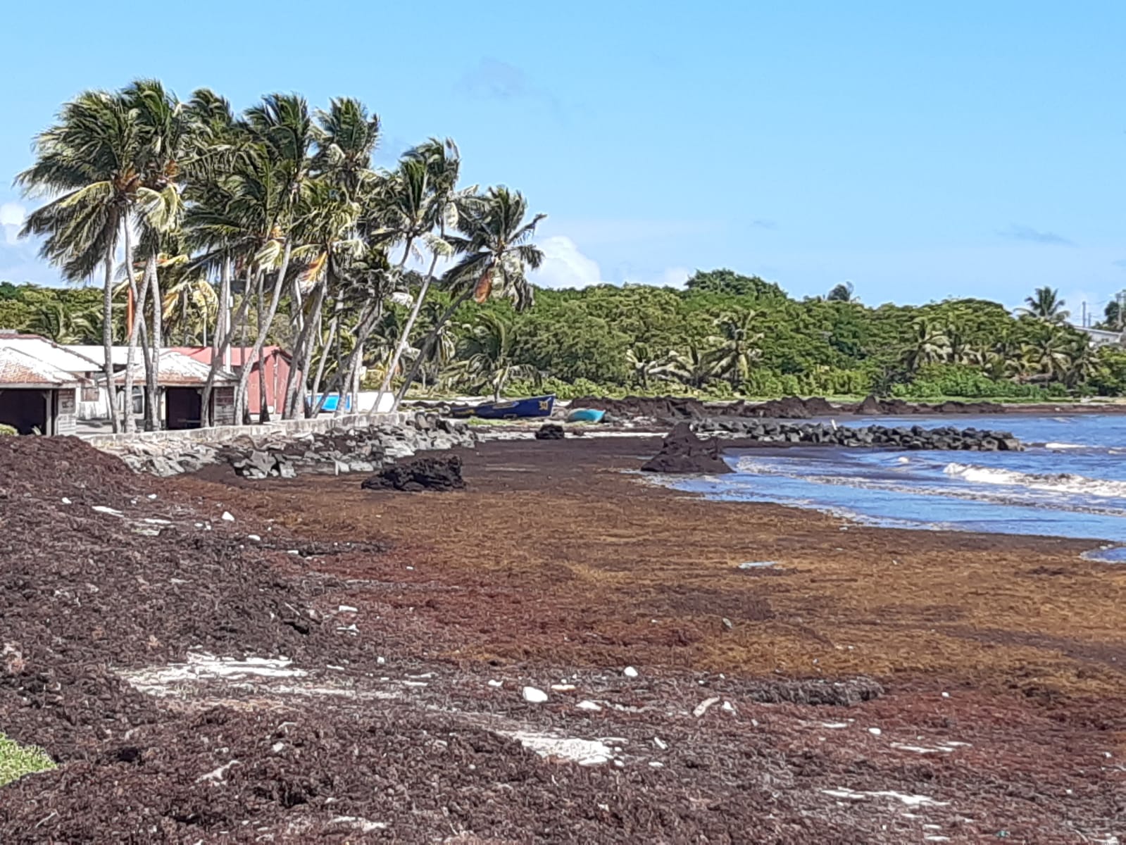 Martinique : les plages sans sargasses à conseiller à vos clients
