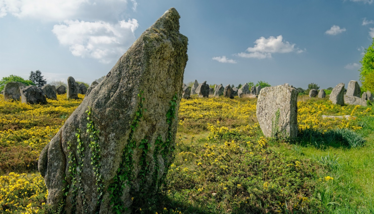 A votre agenda : les prochains webinaires du CRT Bretagne