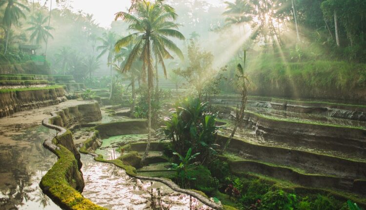 Bali impose une taxe de 10 dollars par touriste étranger