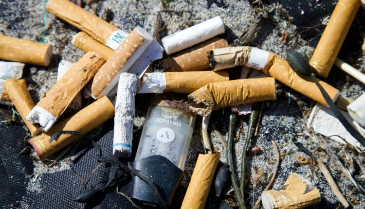 France : interdiction du tabac sur les plages, dans les parcs et forêts d'ici 2027