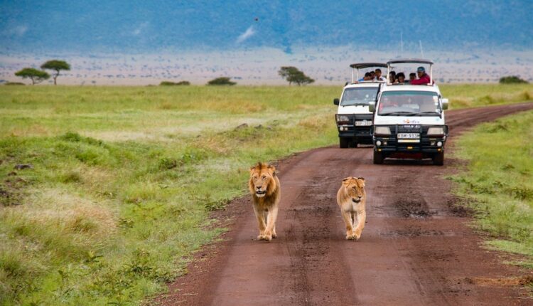  Kenya : tollé sur un "harcèlement" fiscal, qui touche même les touristes