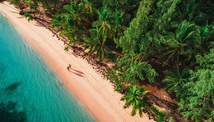 © Adobe Stock