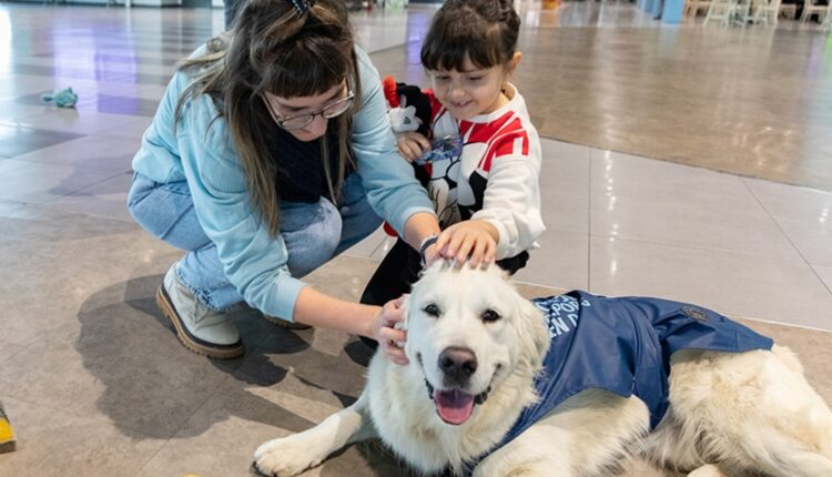 « Zen Dog » : à l’aéroport de Skopje, un chien pour rassurer les voyageurs