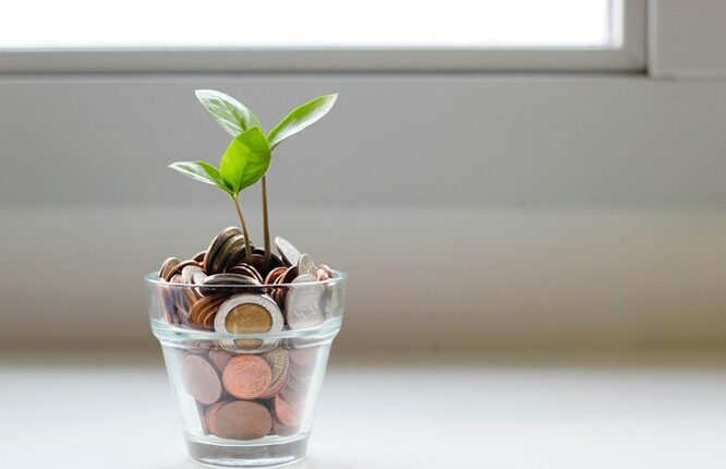 Décarbonation : Setosphère finance un projet au Kenya