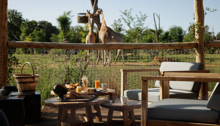 France : le Zoo de la Flèche inaugure 8 lodges immersifs