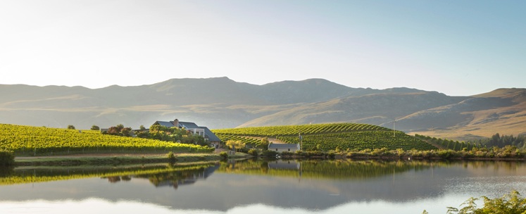 oenotourisme vignoble