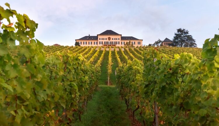 oenotourisme vignoble Allemagne domaines