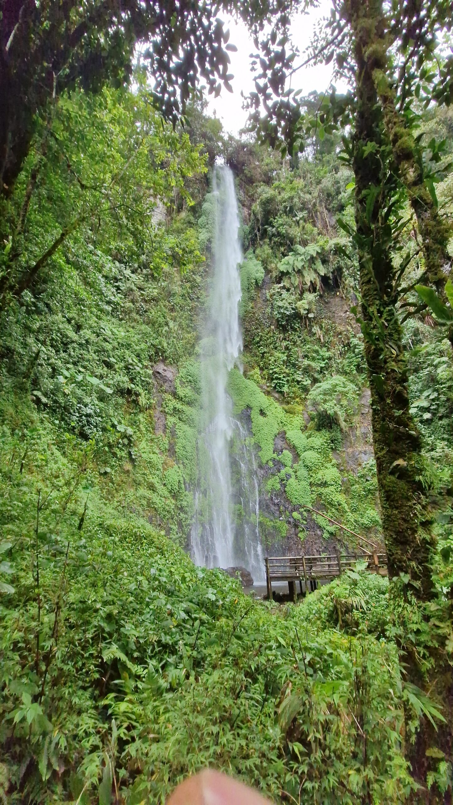 Cascade en Colombie