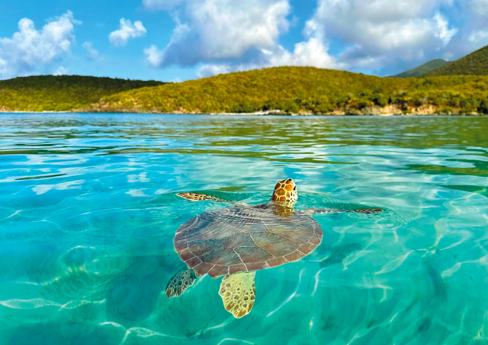 Plage de Tortola
